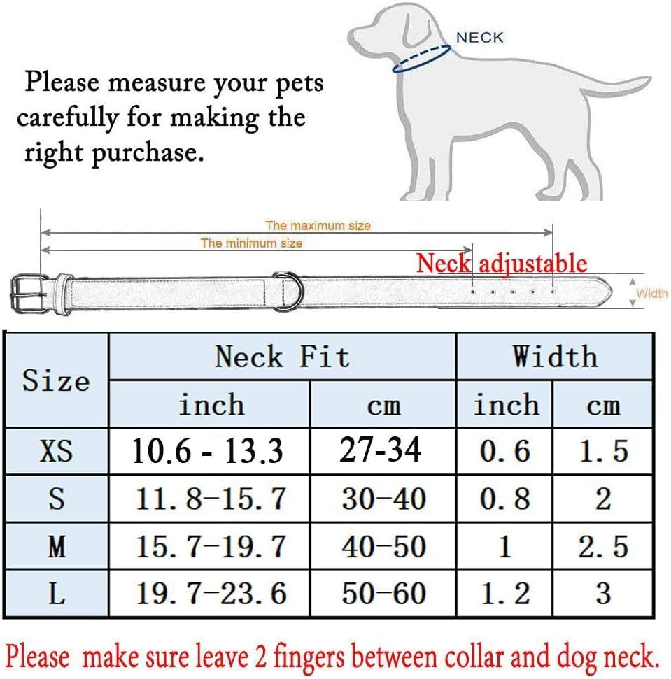 Vue 3 de Mihqy Collier De Chien