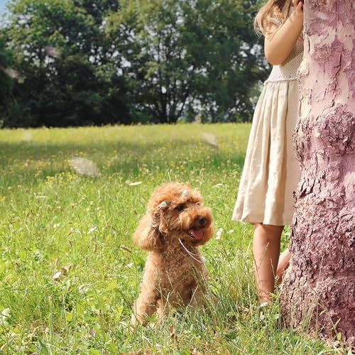 Vue 4 de Croci Ceremony Couronne De