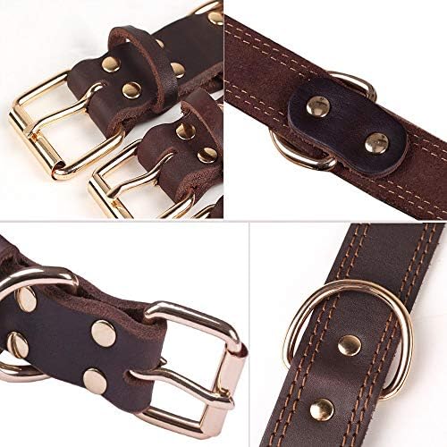 Vue 4 de Mihqy Collier De Chien