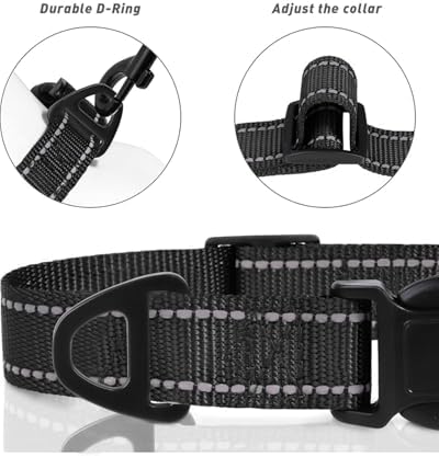 Vue 3 de Tagme Collier Pour Chien