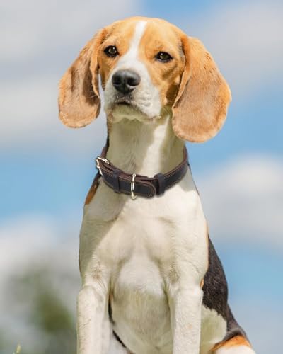 Vue 2 de Joytale Collier En Cuir