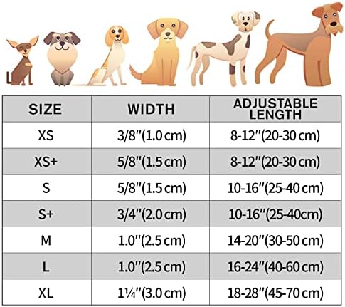 Vue 6 de Tagme Collier Pour Chien