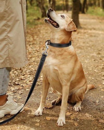 Vue 7 de Tagme Collier Pour Chien