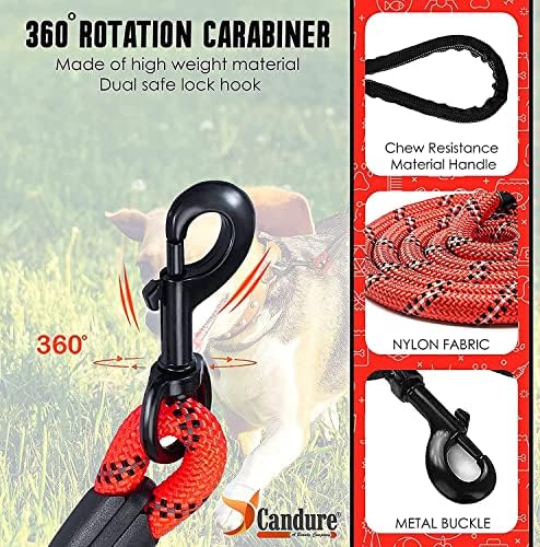 Vue 2 de Candure Laisse Chien Avec