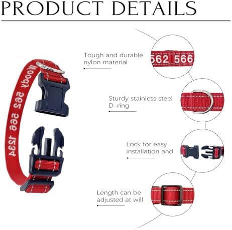 Vue 5 de Collier Chien Personnalise Collier