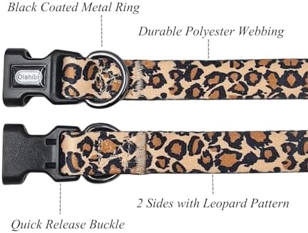 Vue 3 de Olahibi Ensemble Laisse Et