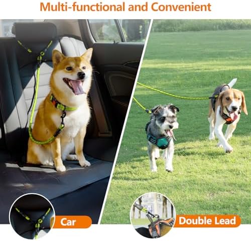 Vue 3 de Taglory Double Laisse Pour