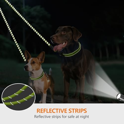 Vue 4 de Taglory Double Laisse Pour