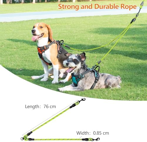 Vue 5 de Taglory Double Laisse Pour
