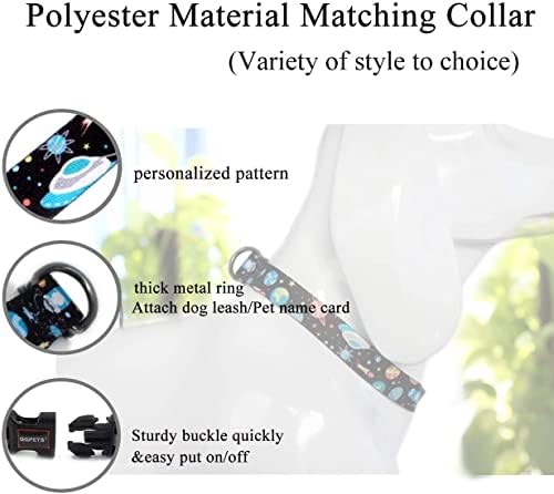 Vue 5 de Rosespoetry Collier Et Laisse