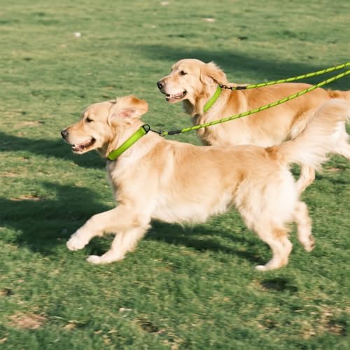 Vue 7 de Taglory Double Laisse Pour