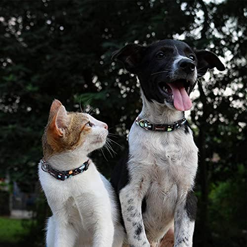 Vue 6 de Rosespoetry Collier Et Laisse