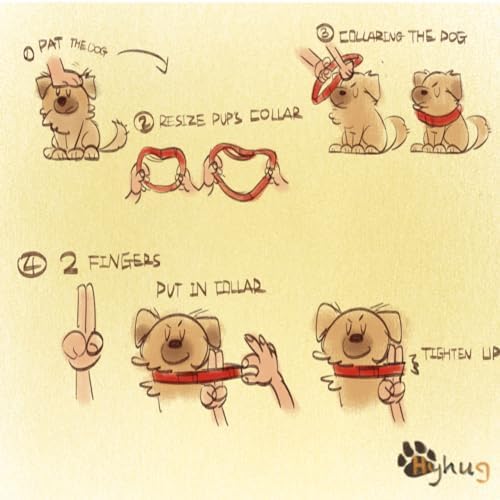 Vue 3 de Hyhug Collier De Chien