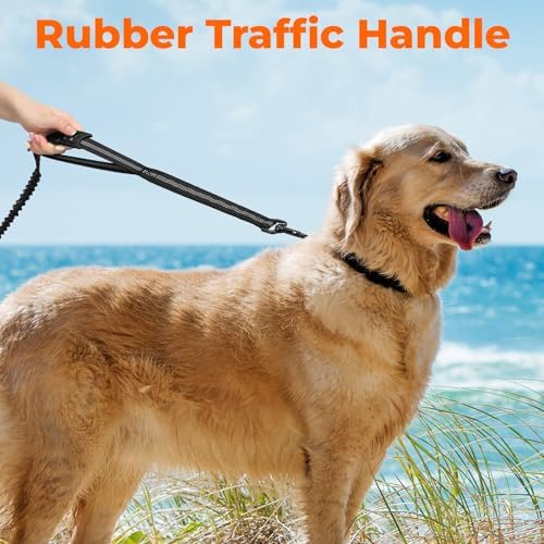 Vue 3 de Euqvunn Laisse Elastique Chien