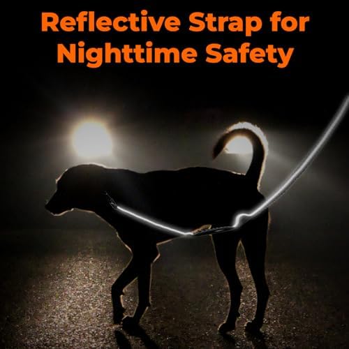 Vue 7 de Euqvunn Laisse Elastique Chien