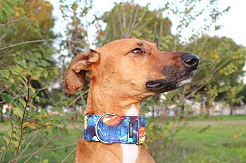 Vue 2 de Candypet Martingale Dog Collar