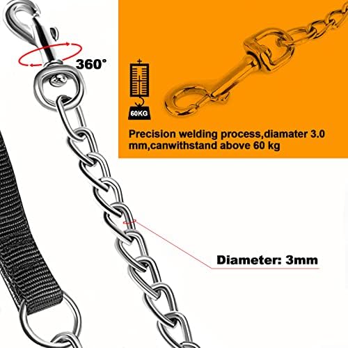 Vue 3 de Laisse Pour Chien En