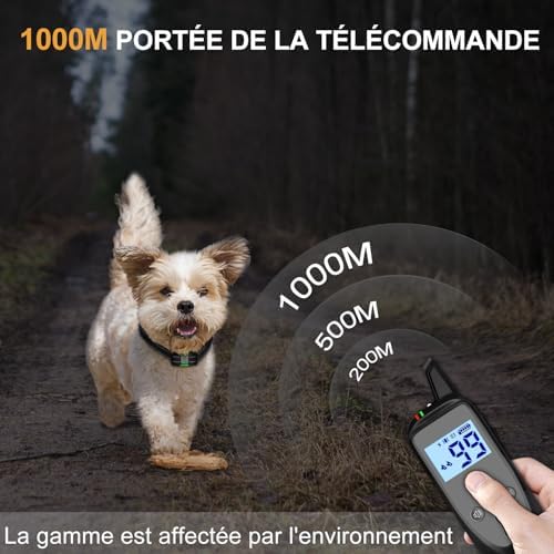 Vue 3 de Ihpukidi Collier De Dressage