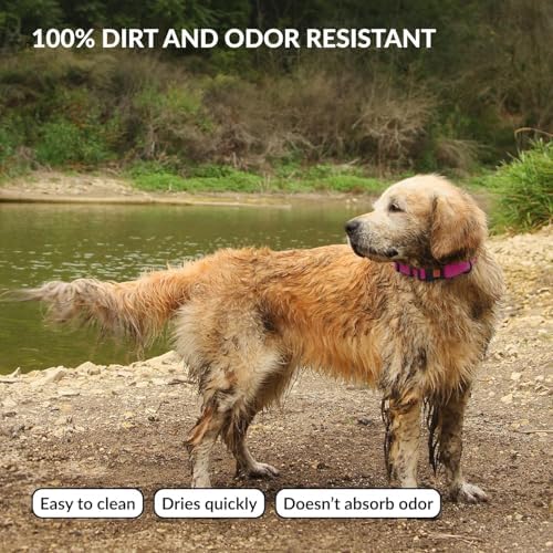Vue 3 de Collardirect Collier Chien Impermeable