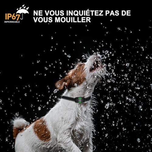 Vue 4 de Ihpukidi Collier De Dressage