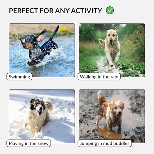 Vue 4 de Collardirect Collier Chien Impermeable