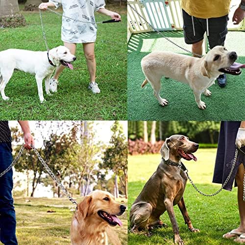 Vue 6 de Laisse Pour Chien En