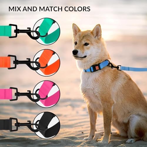 Vue 6 de Collardirect Collier Chien Impermeable