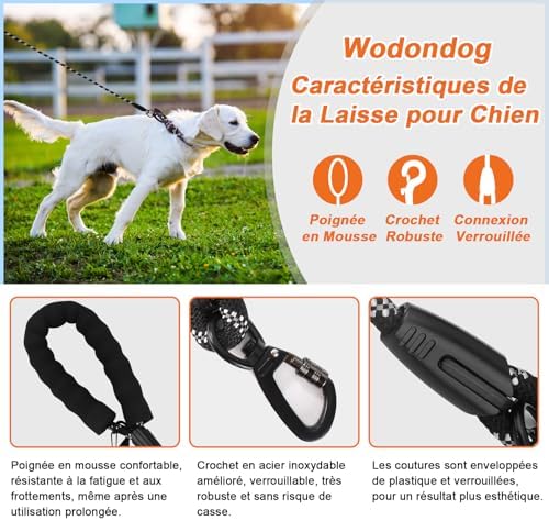 Vue 2 de Longe Pour Chien