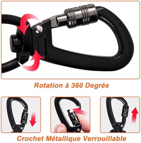 Vue 3 de Longe Pour Chien