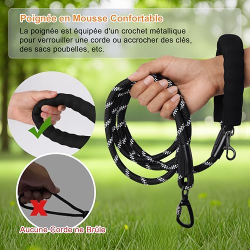 Vue 4 de Longe Pour Chien