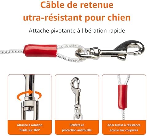 Vue 2 de Amazon Basics Cable Dattache