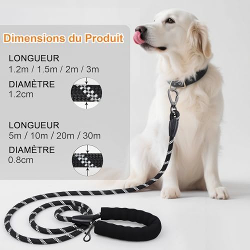 Vue 5 de Longe Pour Chien