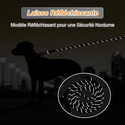 Vue 6 de Longe Pour Chien