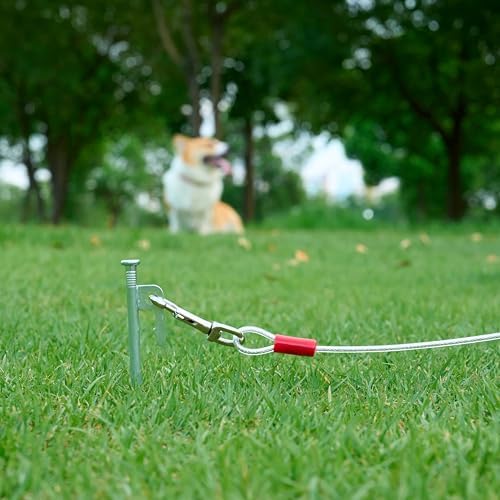 Vue 4 de Amazon Basics Cable Dattache