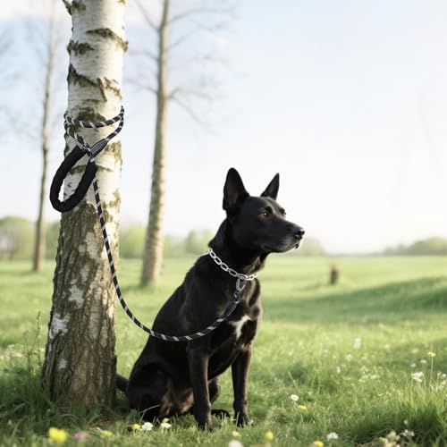 Vue 7 de Longe Pour Chien