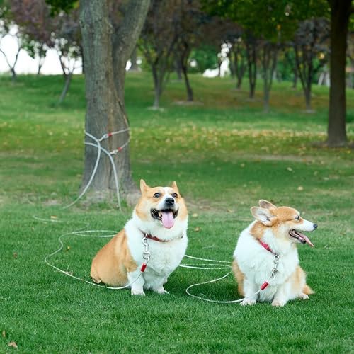 Vue 5 de Amazon Basics Cable Dattache