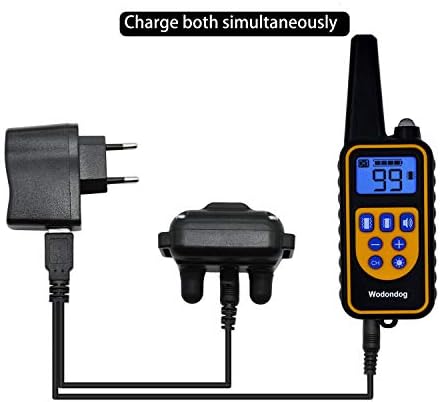 Vue 5 de Wodondog Collier De Dressage