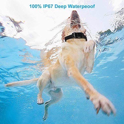 Vue 6 de Wodondog Collier De Dressage