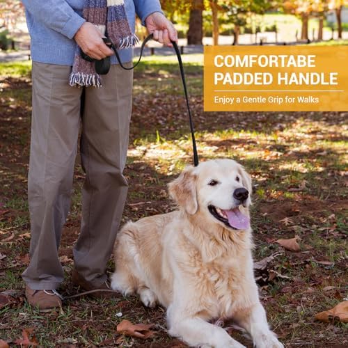 Vue 2 de Petcooz Laisse Pour Chien