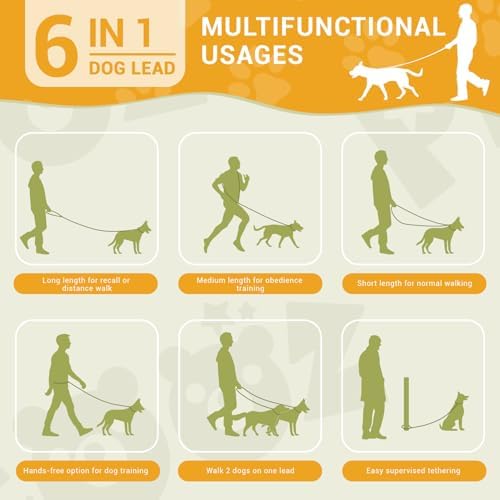 Vue 3 de Petcooz Laisse Pour Chien