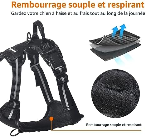 Vue 4 de Amazon Basics Harnais Pour