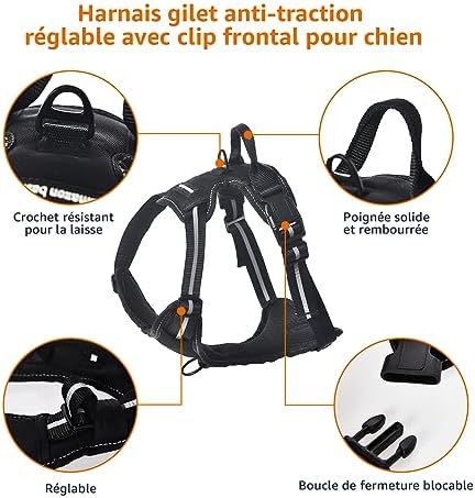 Vue 5 de Amazon Basics Harnais Pour