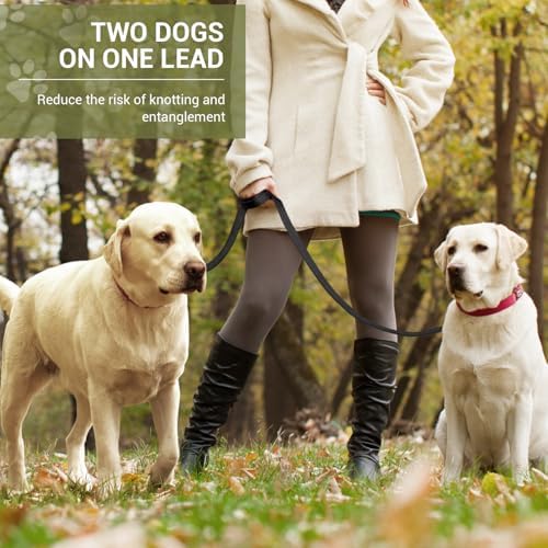 Vue 4 de Petcooz Laisse Pour Chien