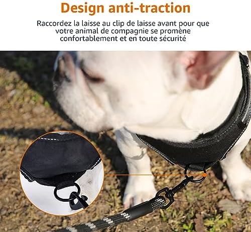 Vue 6 de Amazon Basics Harnais Pour