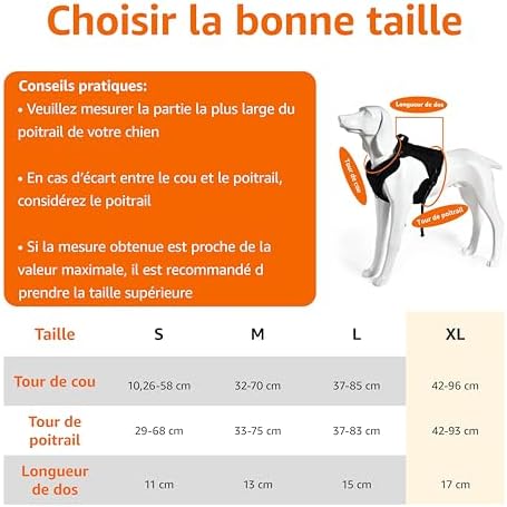 Vue 7 de Amazon Basics Harnais Pour