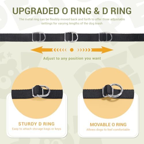 Vue 6 de Petcooz Laisse Pour Chien