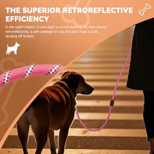 Vue 4 de Petcooz Laisse Chien Reglable