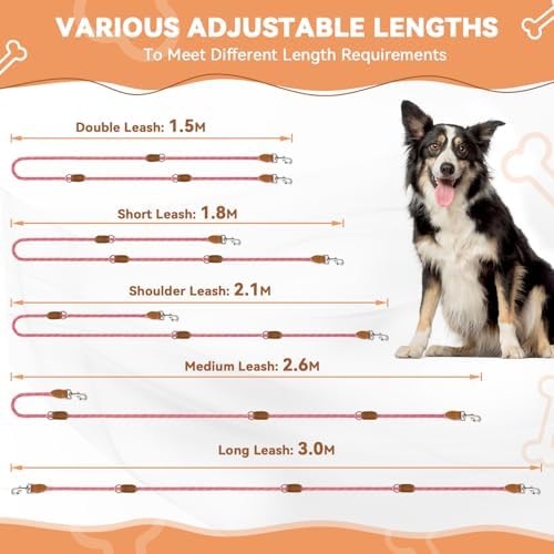 Vue 6 de Petcooz Laisse Chien Reglable