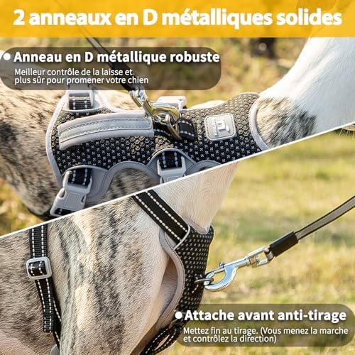 Vue 5 de Huntboo Harnais Pour Chien