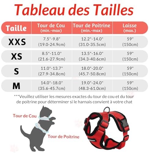 Vue 2 de Rabbitgoo Harnais Chat Petit